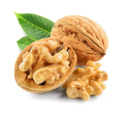 CEVİZ ÇEŞİTLERİ