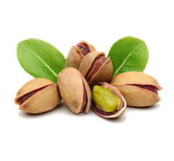 FISTIK ÇEŞİTLERİ