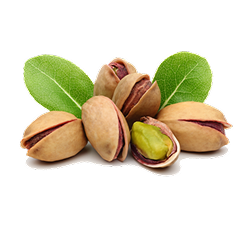 FISTIK ÇEŞİTLERİ